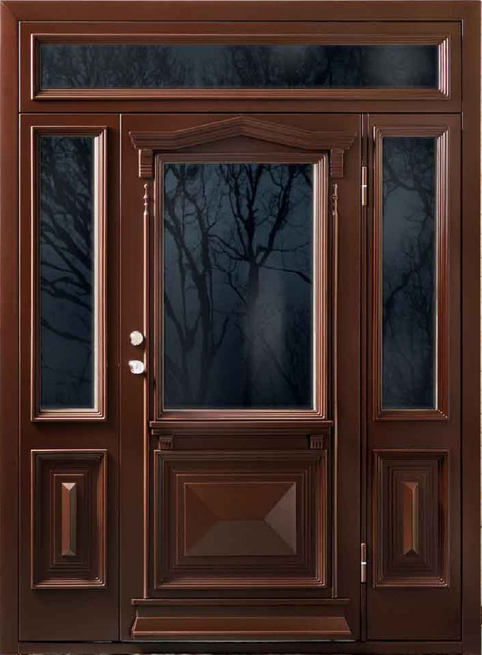 custom-door5